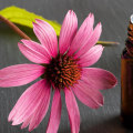 The Healing Power of Echinacea: A Natural Antibiotic