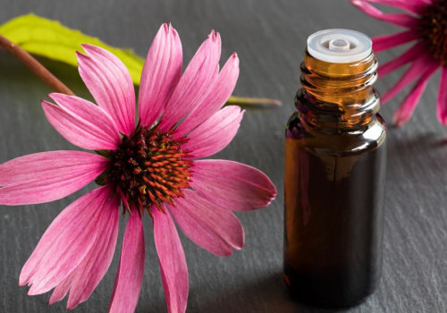 The Healing Power of Echinacea: A Natural Antibiotic