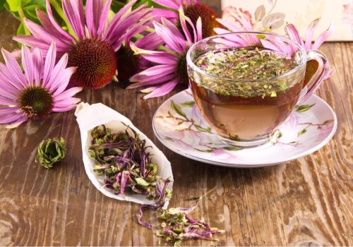 The Healing Power of Echinacea: Exploring its Benefits and Possible Side Effects